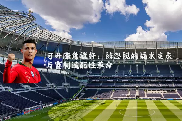 可升降角旗杆：被忽视的战术支点与赛制适配性革命